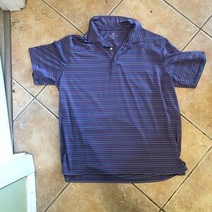 Southern Tide Blue and Pink Striped Polo